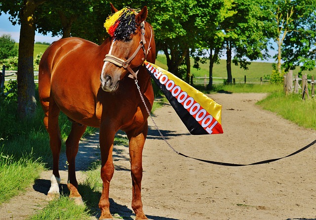 抓住关键赛 抓住关键赛