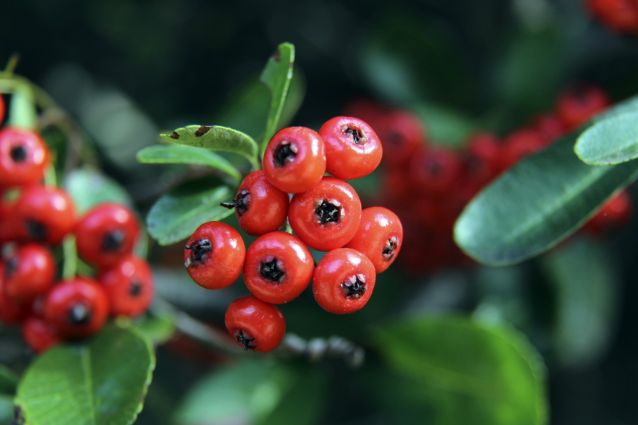 庆夫的表现 庆夫的表现