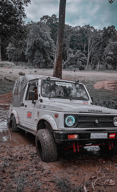 攻能力突出 攻能力突出