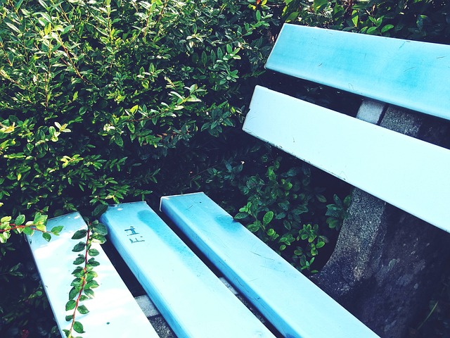 迷获取主场 迷获取主场